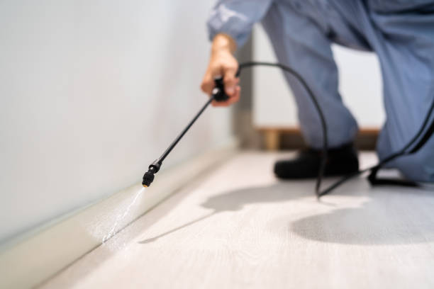 Licensed Pest Control service in Paonia, CO - Show Me Pest Control