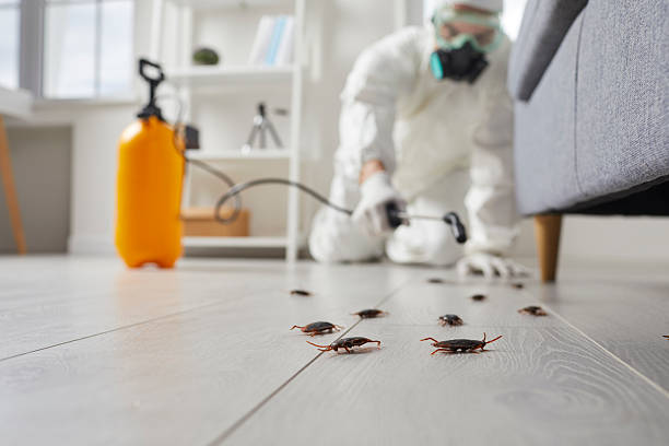 Commercial Kitchen Cockroach Control in Paonia